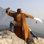 Kung fu à Wattignies