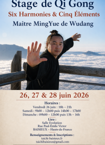 Stage Me Ming Yue de Wudang